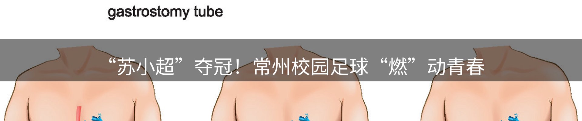 行业报道