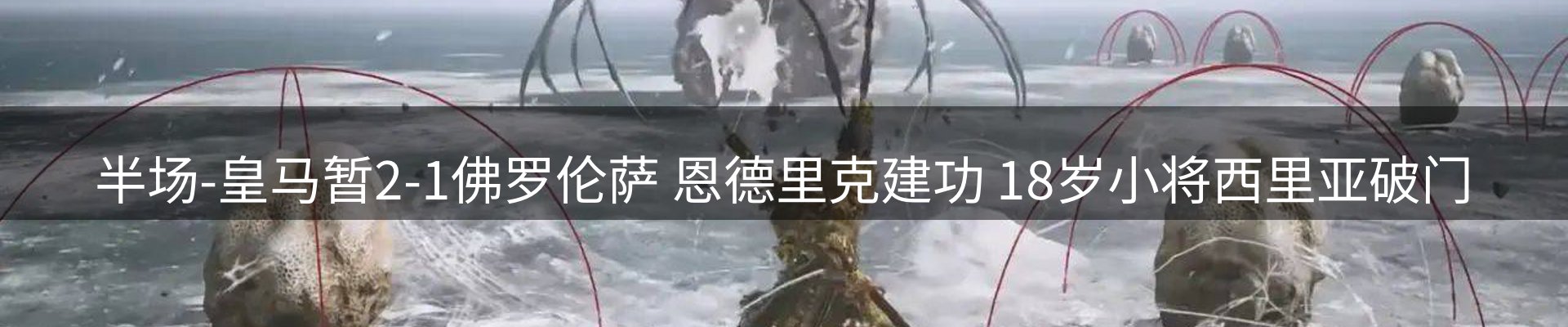 网站资讯