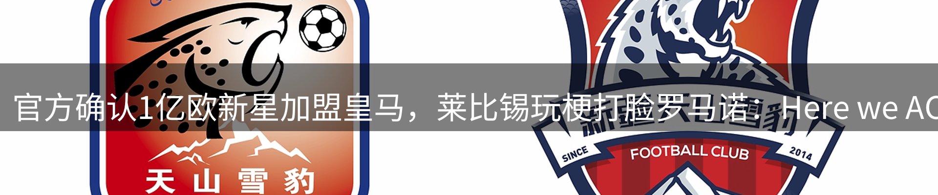 网站资讯