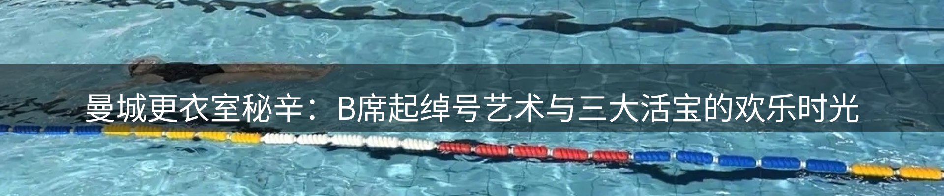 网站资讯