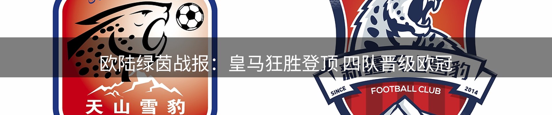行业报道