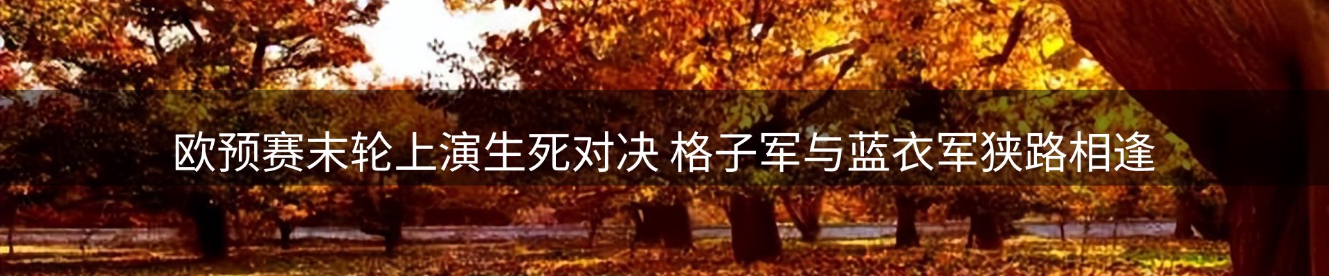 行业报道