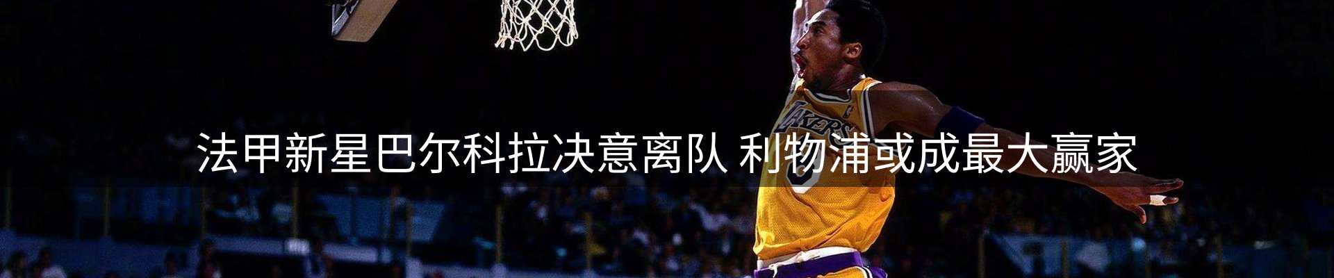 网站资讯