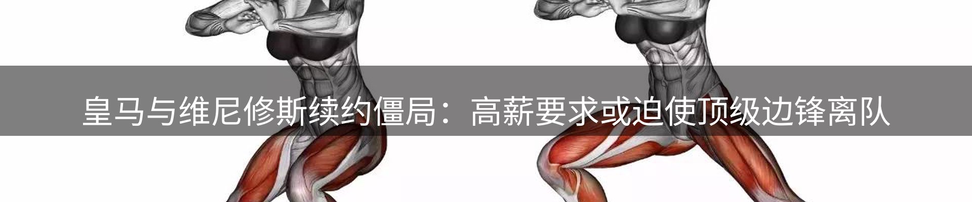 网站资讯