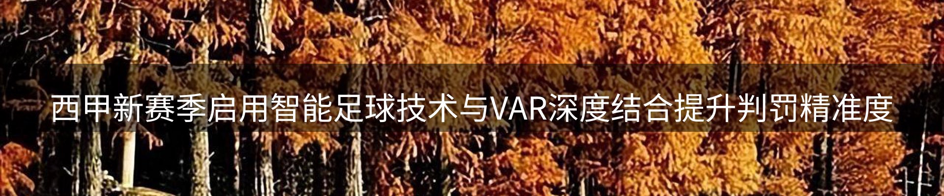 行业报道