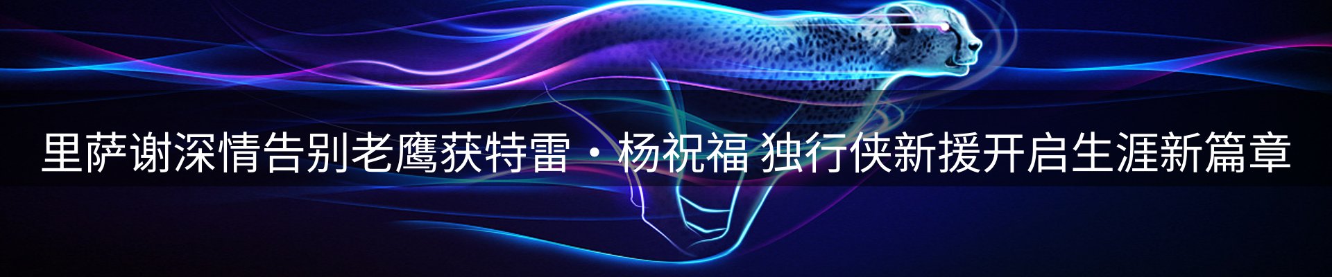 网站资讯