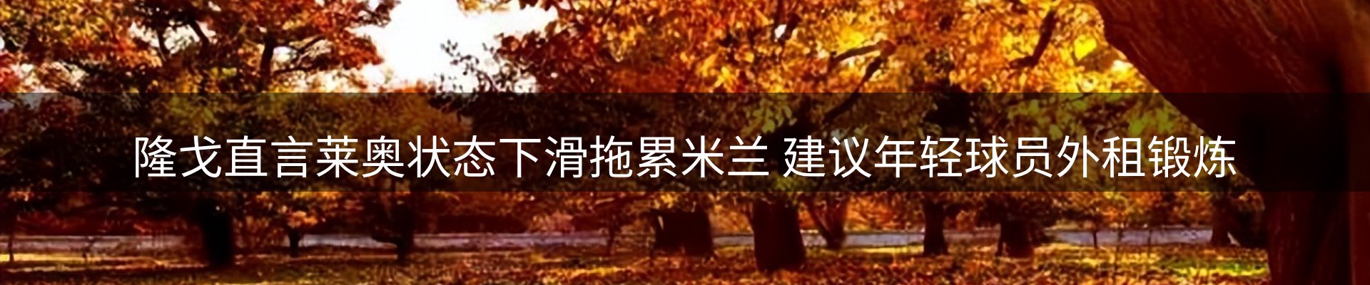 网站资讯