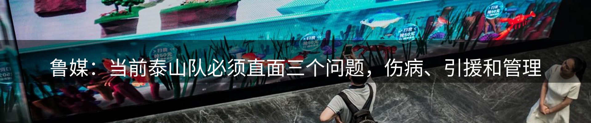 网站资讯
