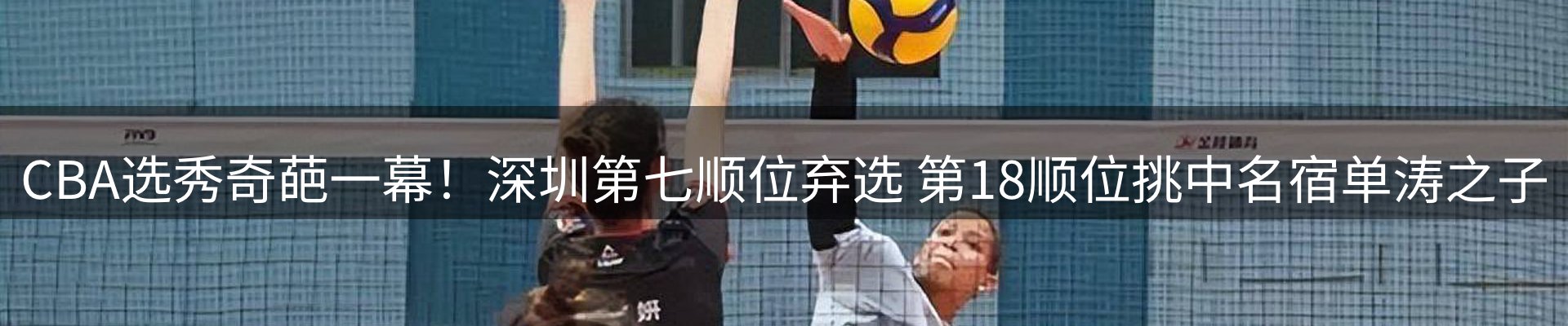 网站资讯